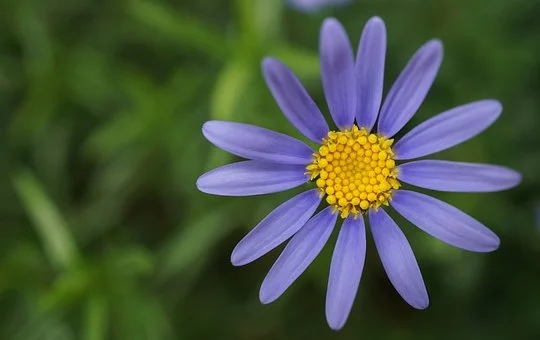 内痔形成的原因都有哪些？